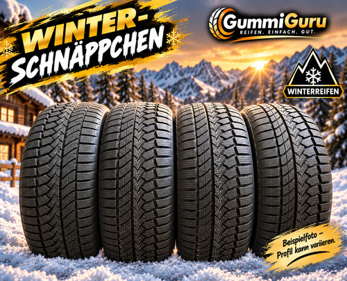 225 r17 94v xl - r17,